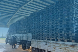 Soluciones Industriales Integrales en PALLETS