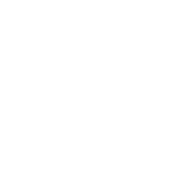 Soluciones Industriales Integrales en PALLETS