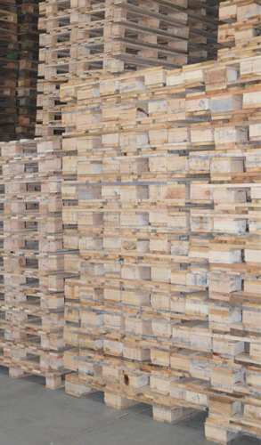 palletnuevo1